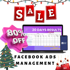4 Weeks Of Facebook Ads Management At 50% OFF + 3 FREE Video Ads And Free Thumbnails + Winning Products PDF