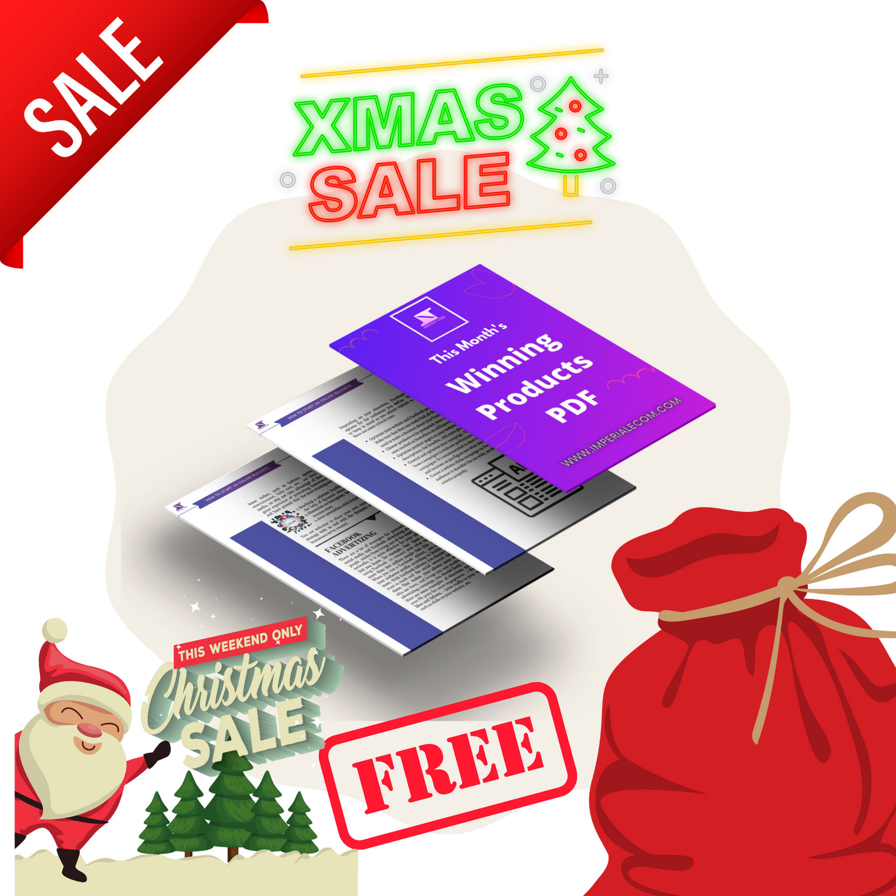 4 Weeks Of Facebook Ads Management At 50% OFF + 3 FREE Video Ads And Free Thumbnails + Winning Products PDF