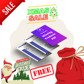 4 Weeks Of Facebook Ads Management At 50% OFF + 3 FREE Video Ads And Free Thumbnails + Winning Products PDF