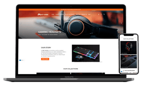 Custom Niche + Additional Products for your Shopify Store