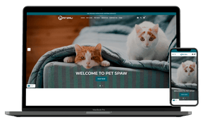 Premium Branded Niche Store At 65% OFF